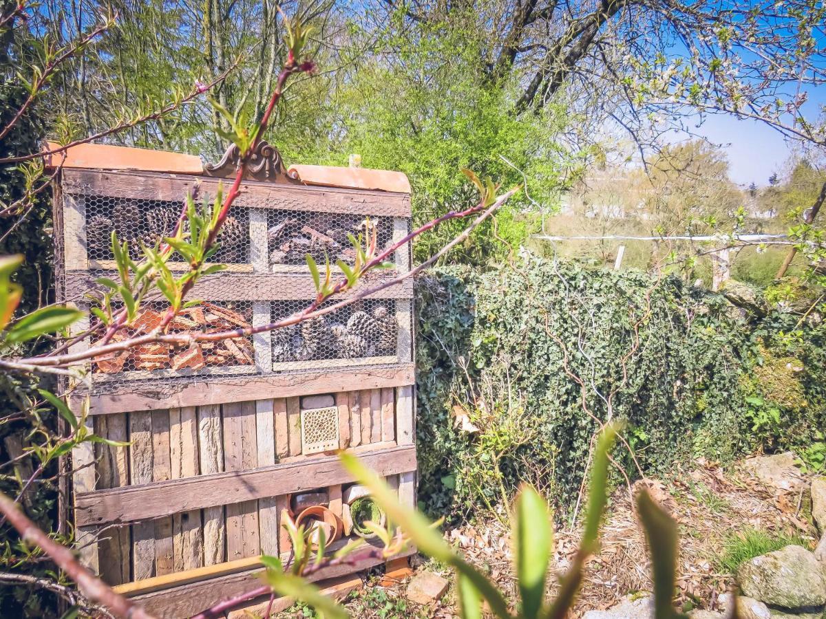 דירות La Gaubretiere Domaine Des Fees מראה חיצוני תמונה